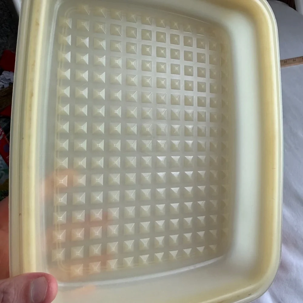 Tupperware vintage meat